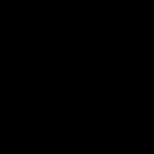 Meet your Posher, Genesis